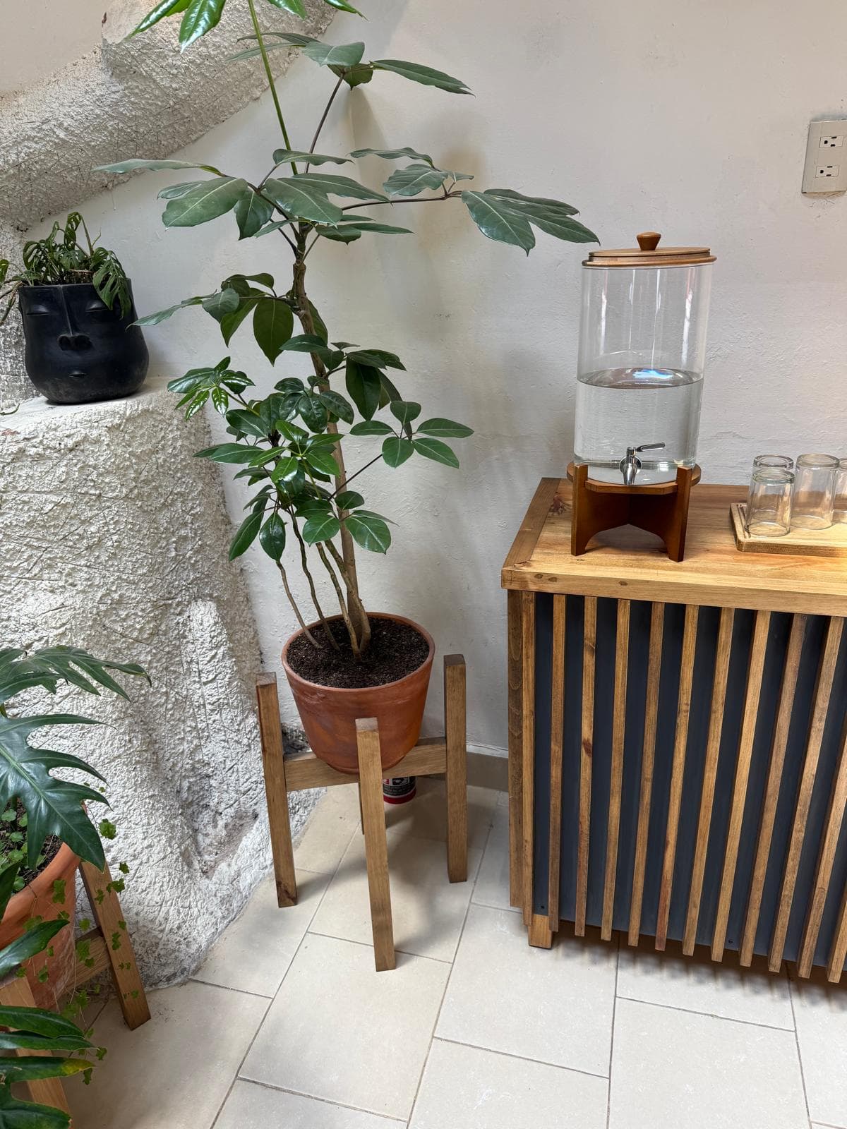 Singular Cafeína Lab photo 2