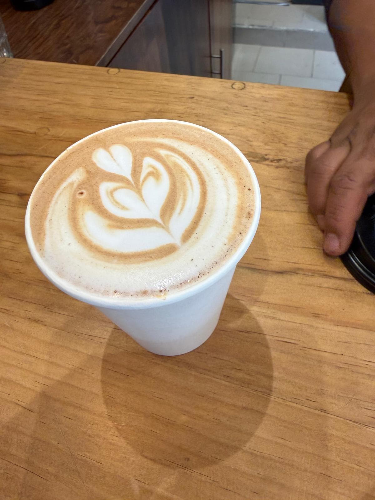 Singular Cafeína Lab